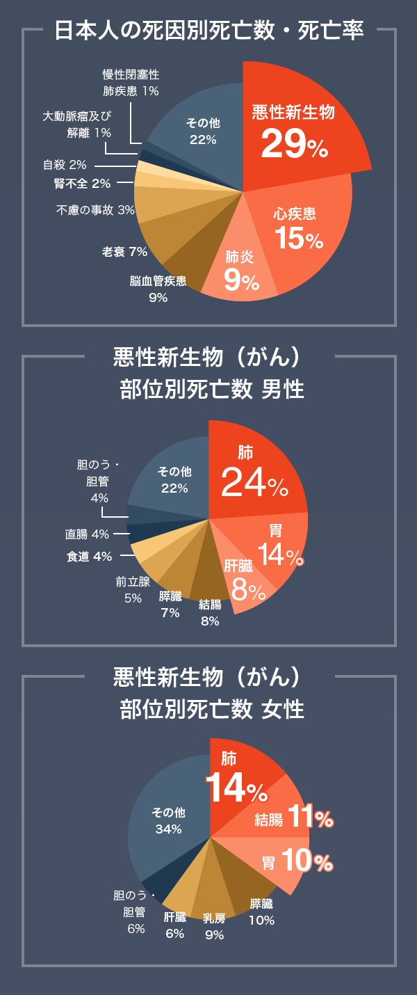 本日は定期健診です^^