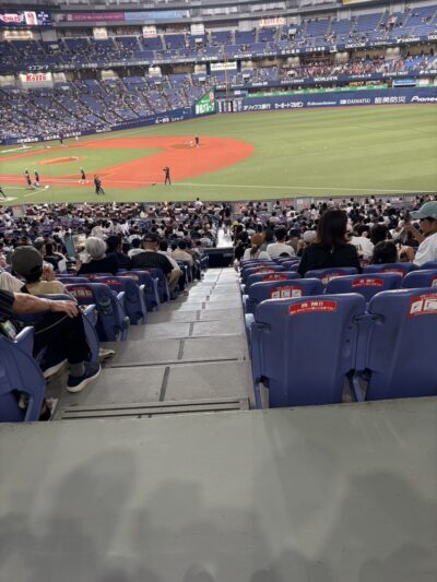 野球観戦