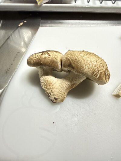 きのこ🍄料理