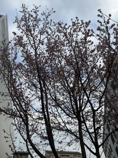 まだ寒い。。。