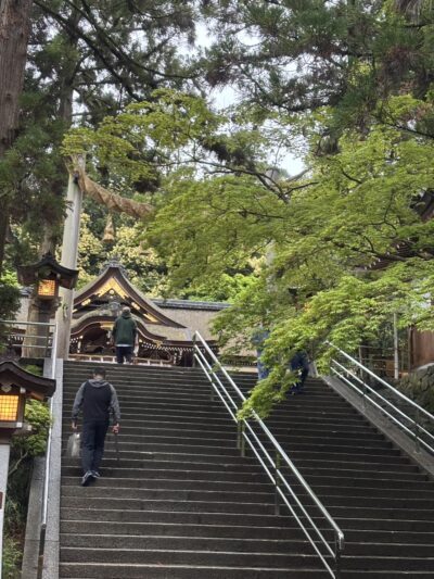三輪の5月
