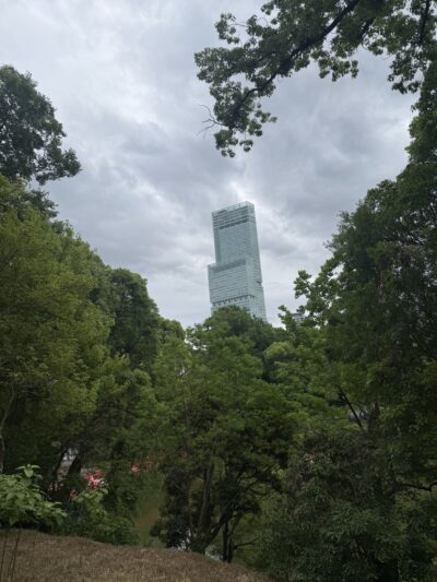 梅雨入りです。