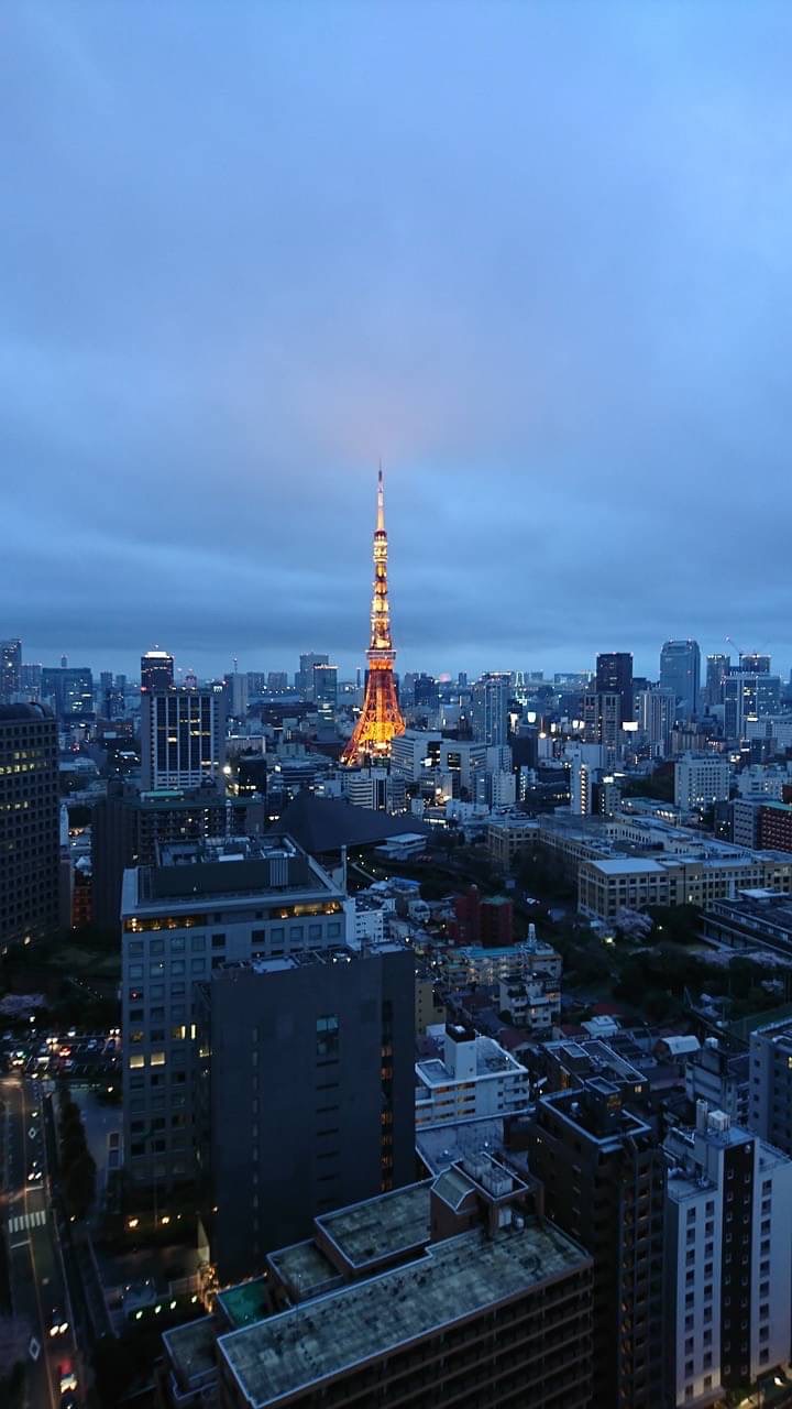 あっという間に折り返し…！【高城】