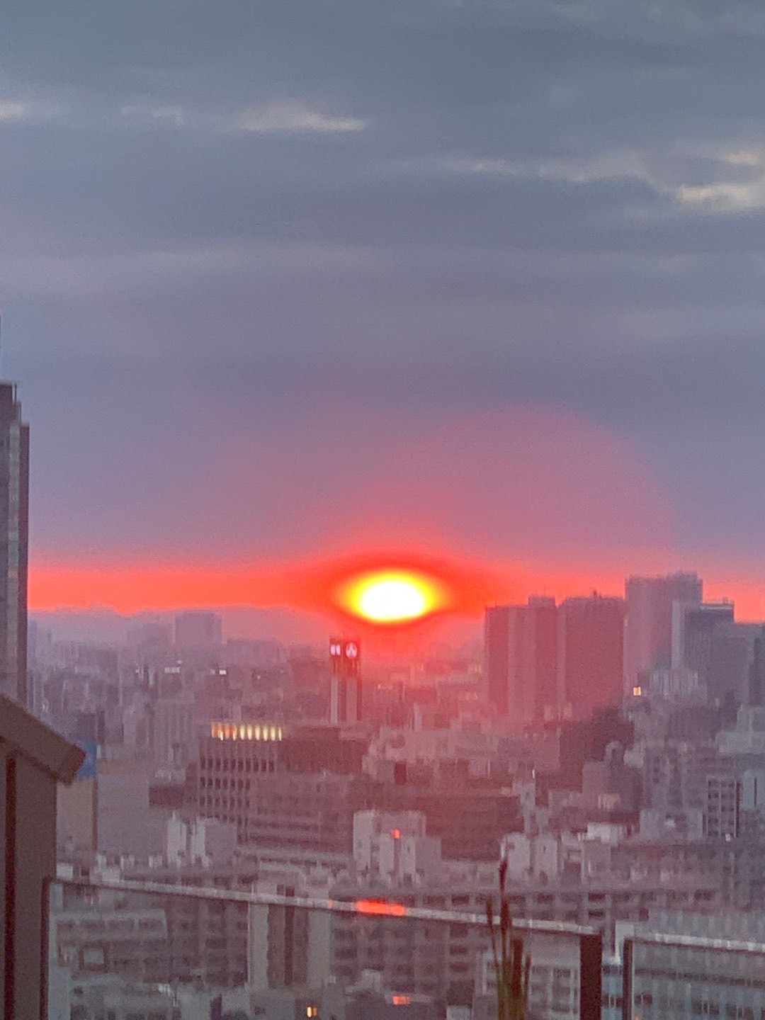 夏至も迎えて、ドンドン日が短くなりますね♫【山田】