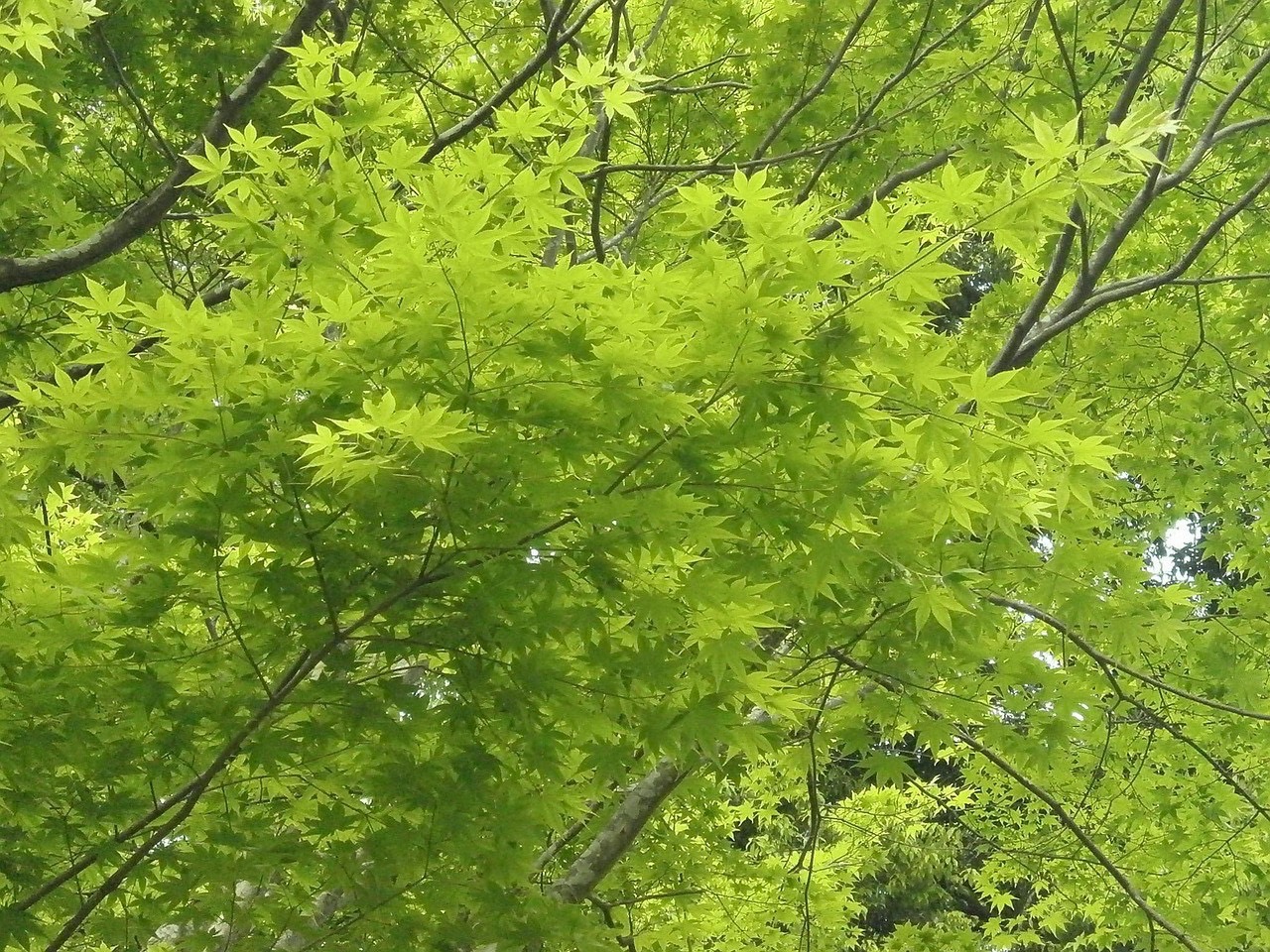 今年も行ってきました【志田】
