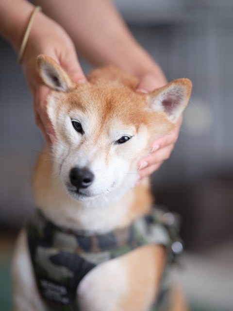 6月、なんだか体が重い…【深谷】