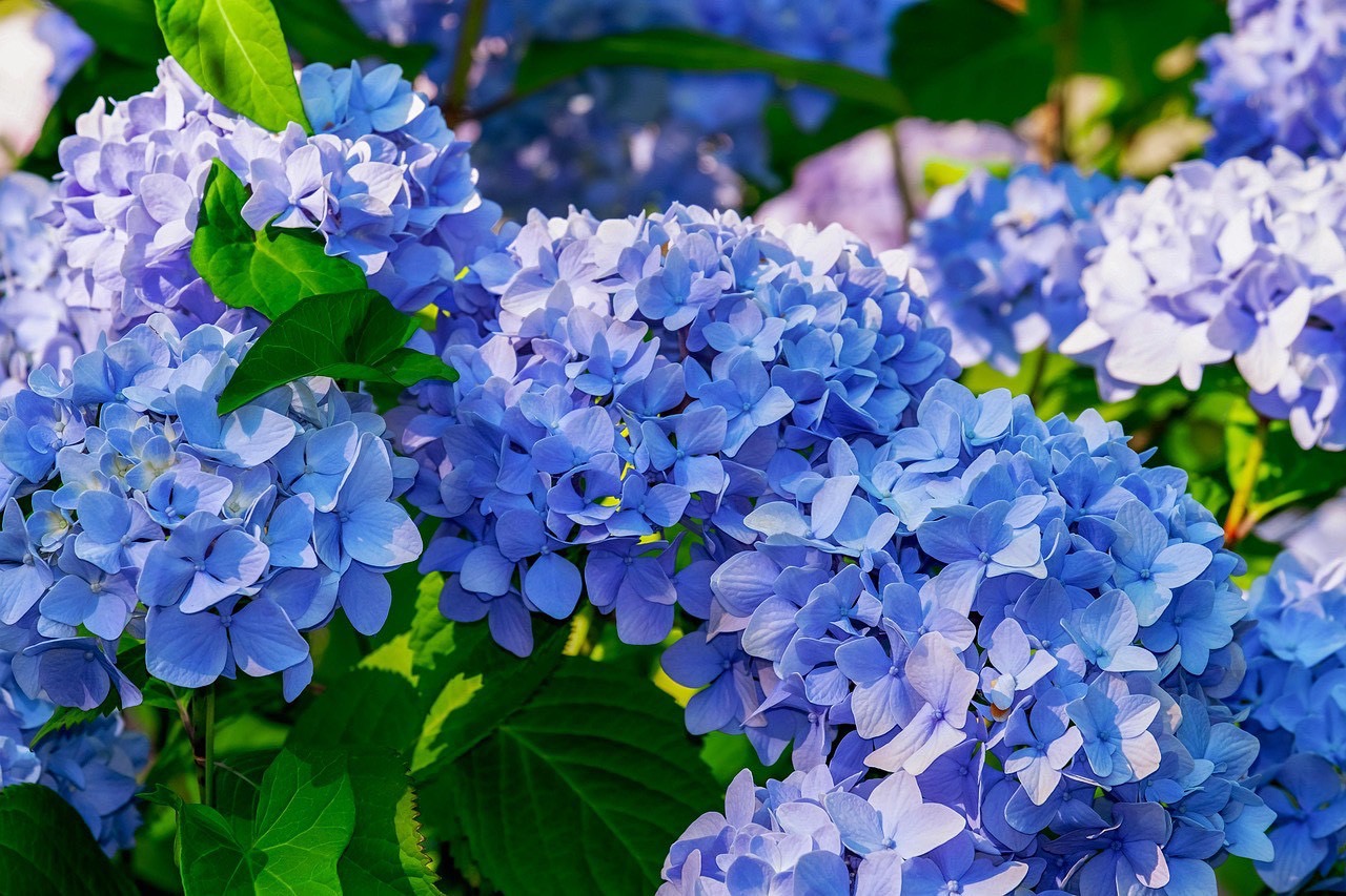 6月に入り、梅雨が近づいてきましたね【北村】