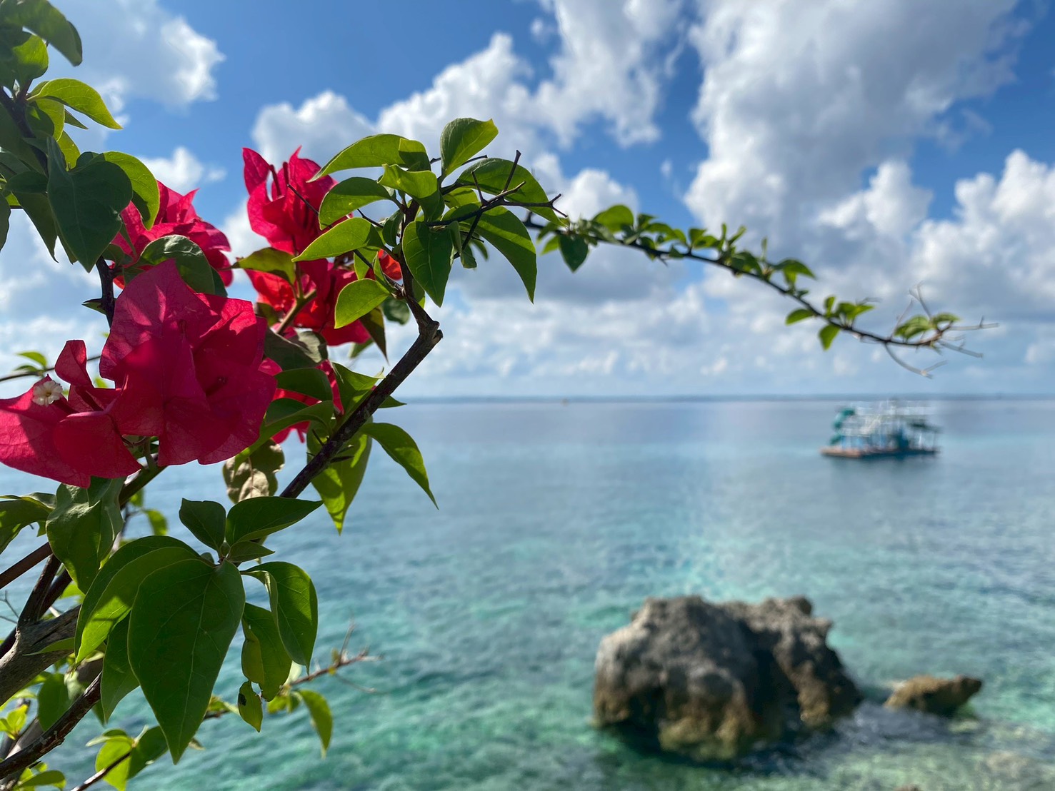 ♪冬の香り♪【綿貫】