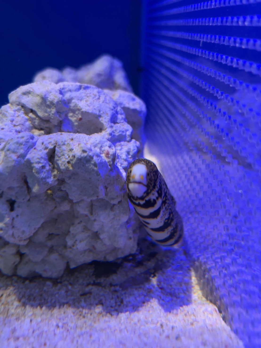 いろんな生き物を見て癒されましたー！！【松浦】