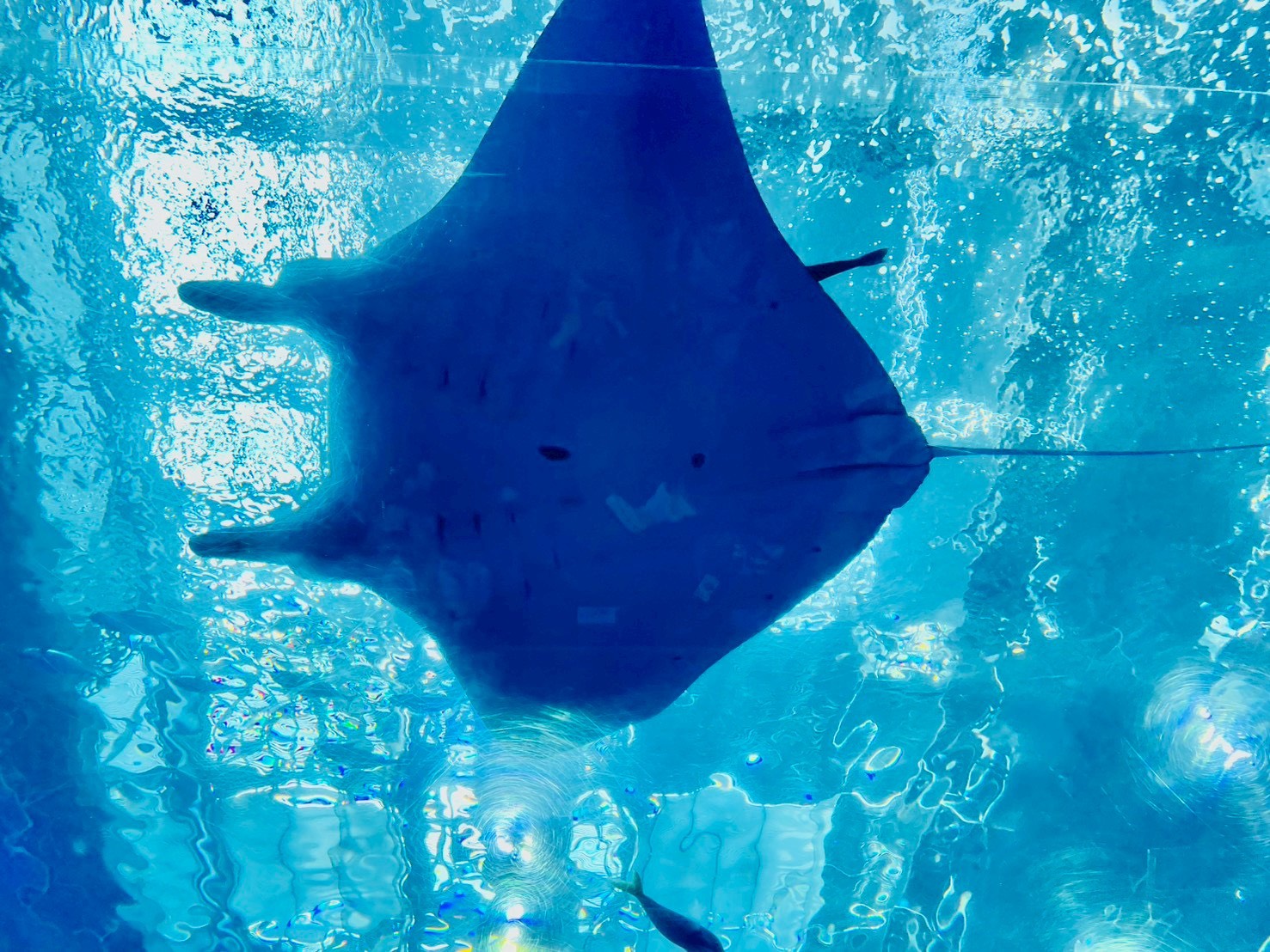 人生3回目の沖縄に行って来ました〜【高野】