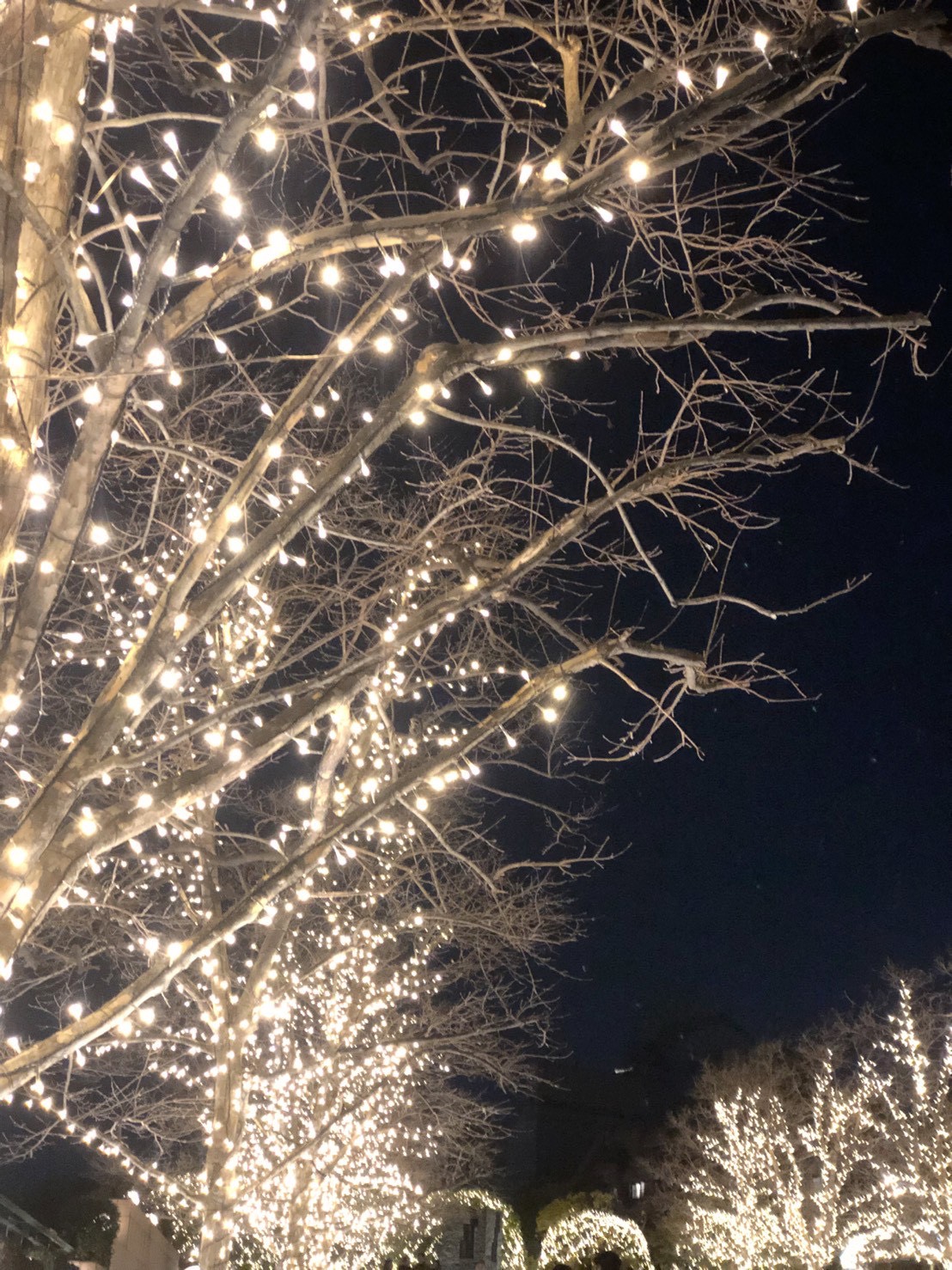 良いお年を！【小玉】