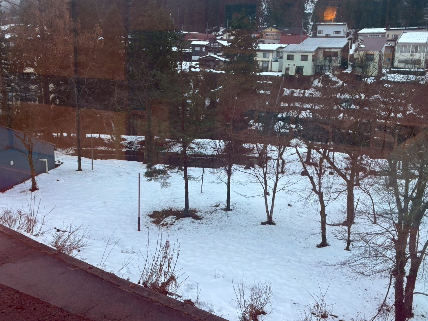 新潟にいってきました【幸田】