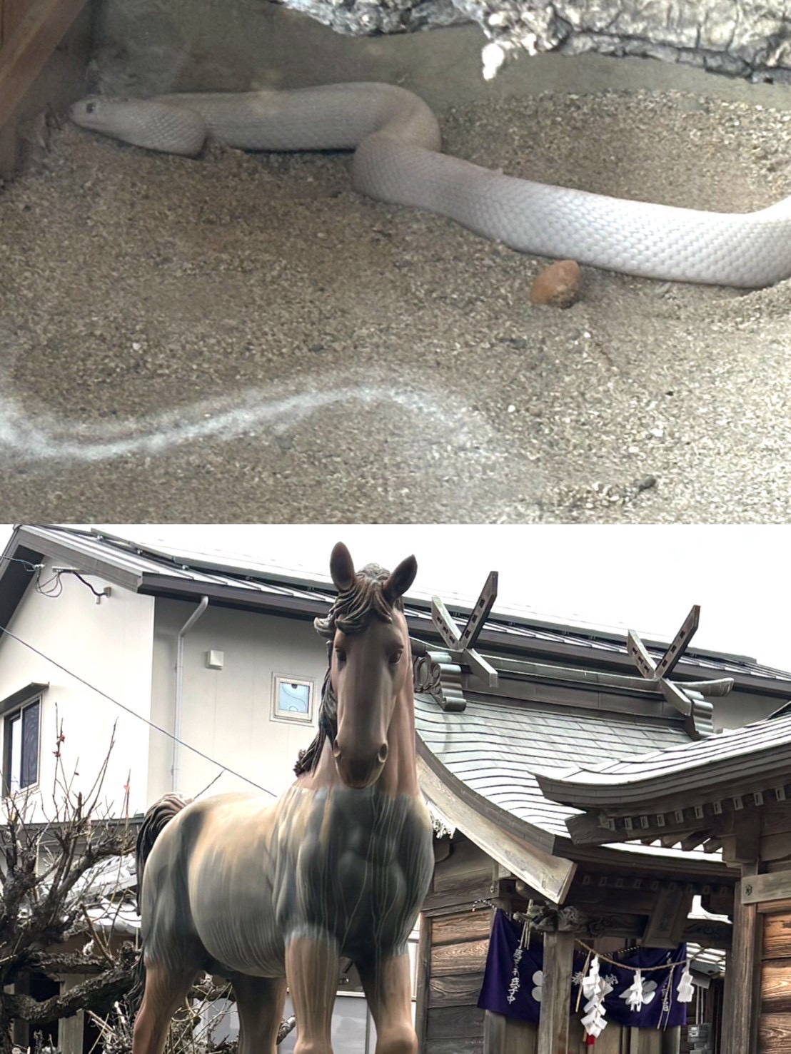 あけましておめでとうございます！！【浅香】