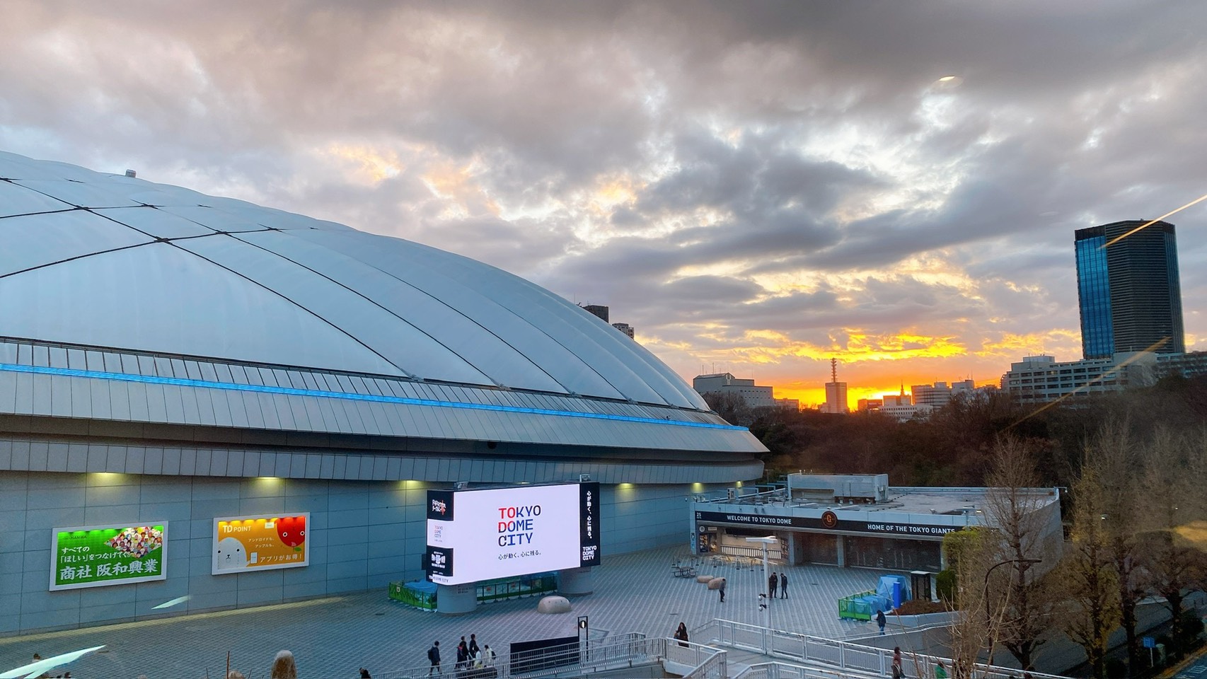 ♪新年♪【綿貫】