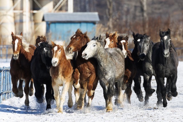 1月のテーマは『整える』。【深谷】