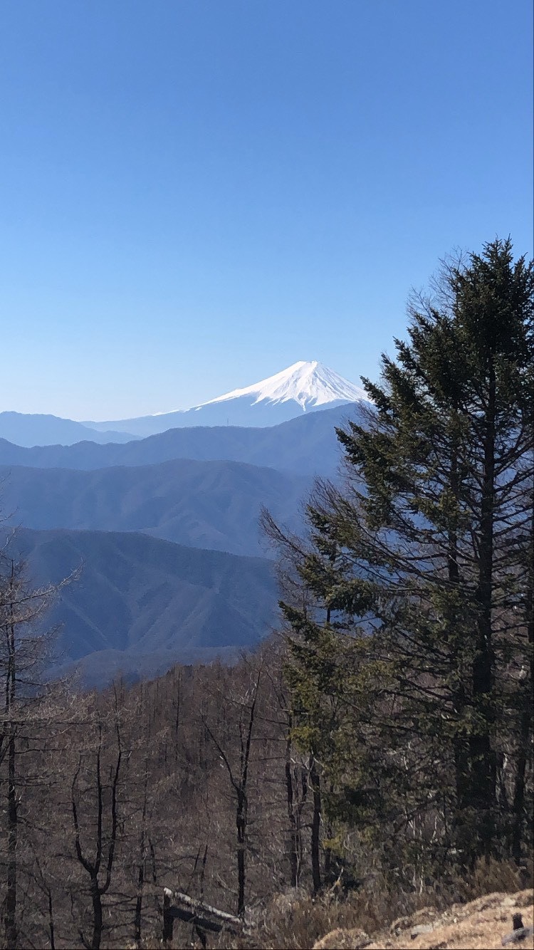 年度末って…なんだかいつもバタバタしちゃいます【松浦】