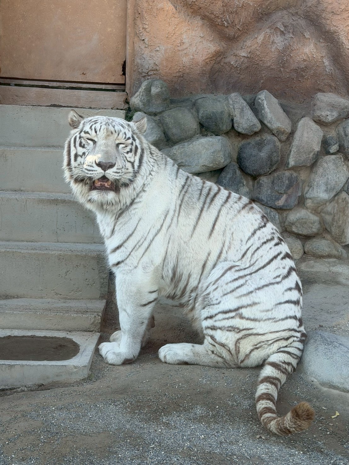 動物園に行ってきました！【矢野】