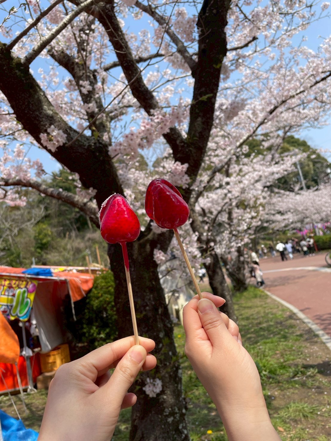 春大満喫〜(*´∀｀*)【高野】