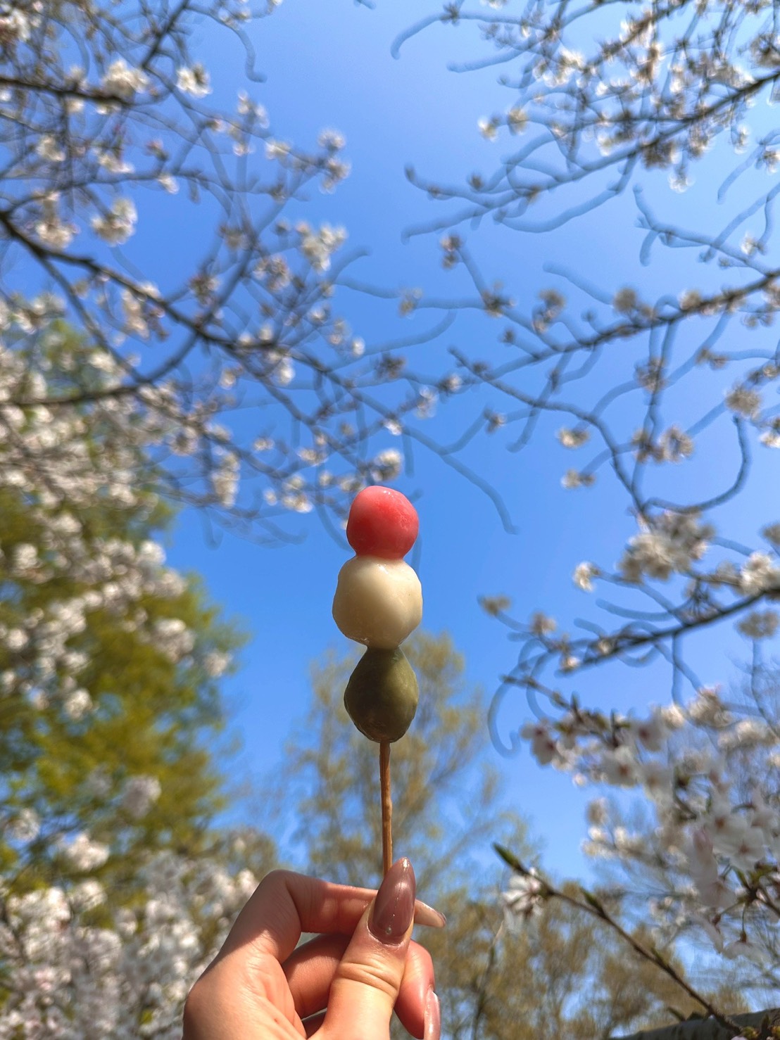 新年度【綿貫】