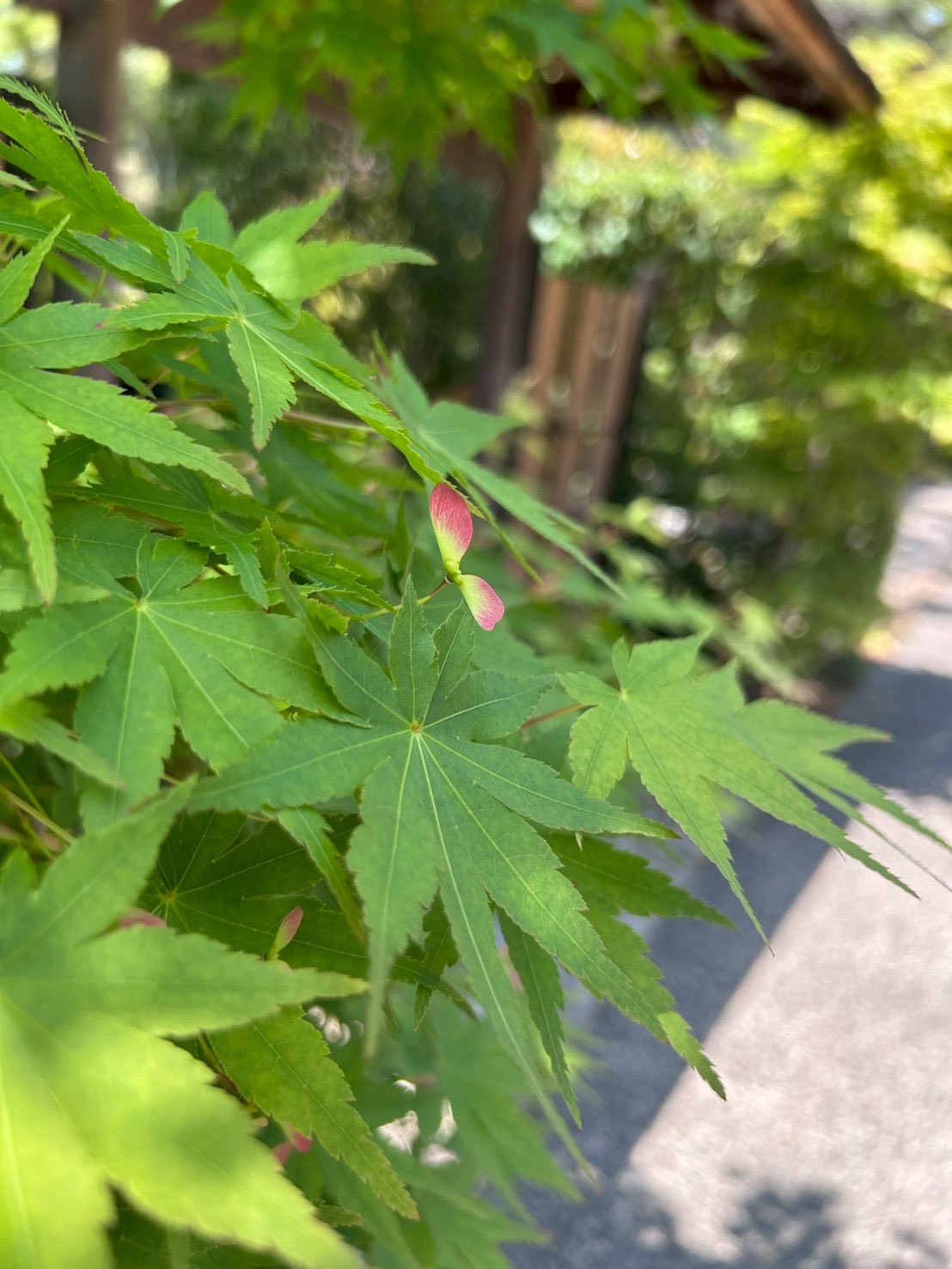 やっと過ごしやすい時期になりましたね【松浦】