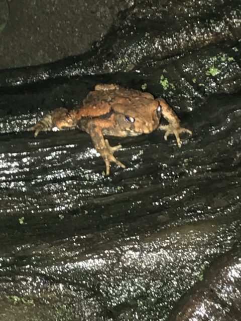 雨の東京【白松】