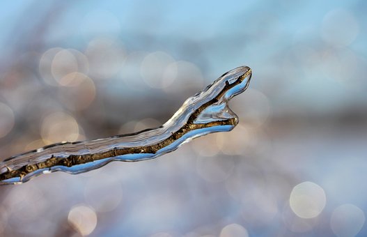 frosty-branches-3120646__340
