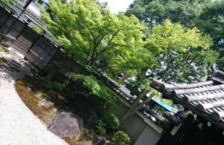 プラーっと京都へ行きました！！！【奈良】