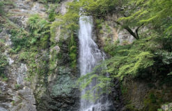 箕面の滝(三井）