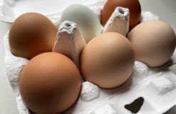 全国各地の美味しい卵の卵かけご飯【五十嵐】