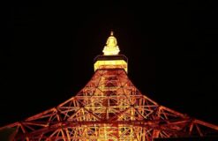 大好きな東京タワーのライトアップ☆【吉野】
