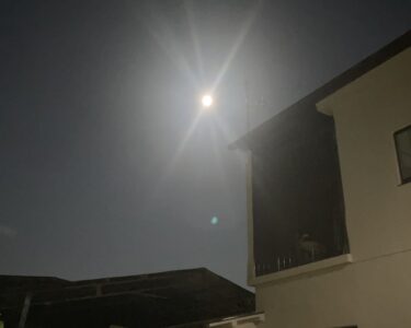 十五夜お月様