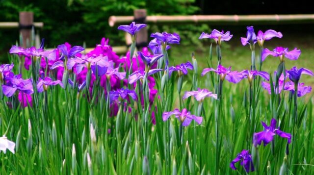 上手に汗をかいて、夏に向けた準備をしましょう！【高野】