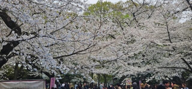 四季を感じるイベント♪　【島】